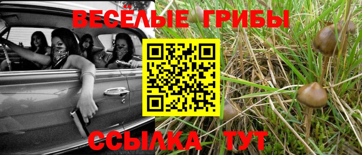наркотики  Вход с VPN  Псилоцибиновые грибы мицелий  Калач-на-Дону  Галлюциногенные грибы мицелий 